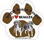 Brew Beagle Rescue