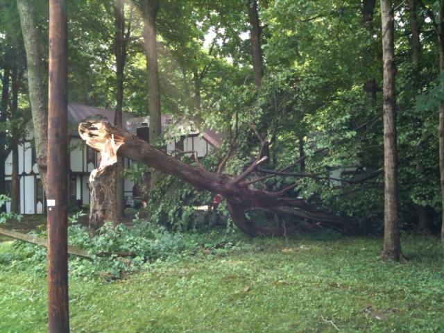 20100613 - Storm Damage 03