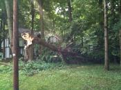 20100613 - Storm Damage 03